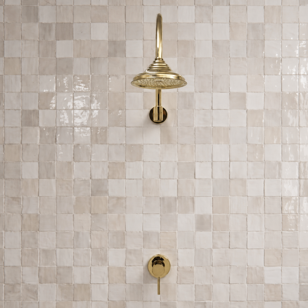 Unlacquered Brass Dome Rain Shower System with Gooseneck arm